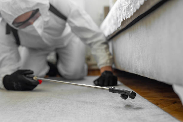 Professional Pest Control technician working in Flathead County County, MT